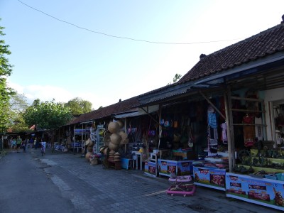 P1060976