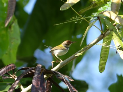 P1070268