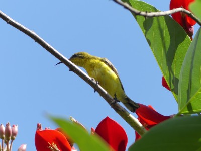 P1070288