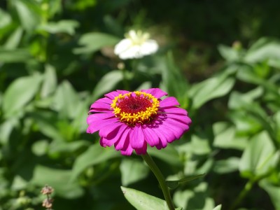 P1070305