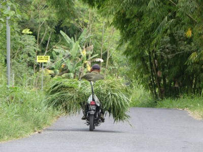 P1070369