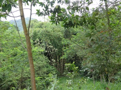 P1070370