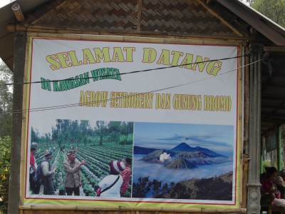 P1070755