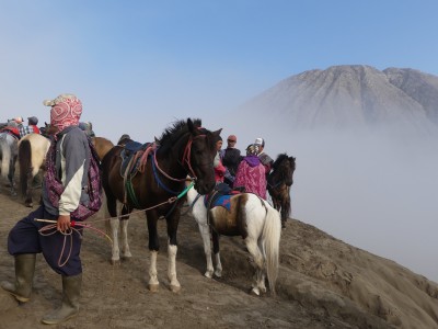 Bromo