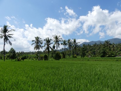 P1090035