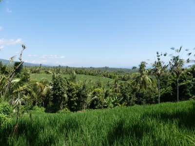P1090046