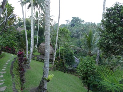 P1090258