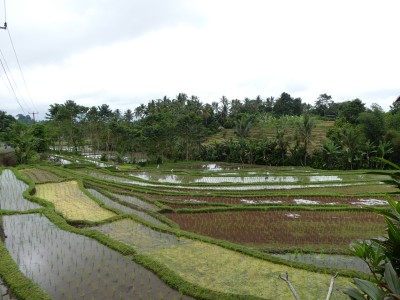 P1090318