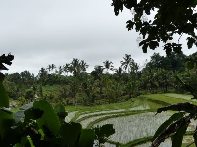 P1090405