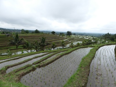 P1090467