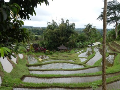 P1090488