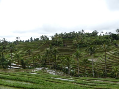 P1090510