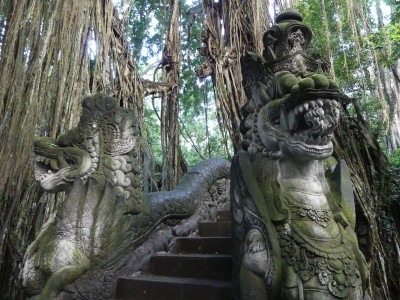 Forêt des singes d'Ubud