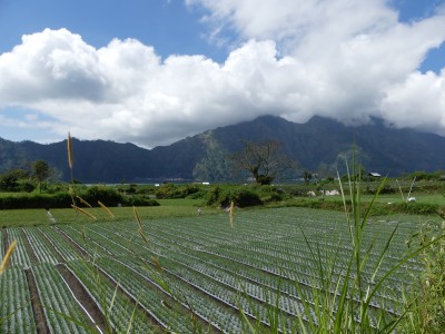 P1100077