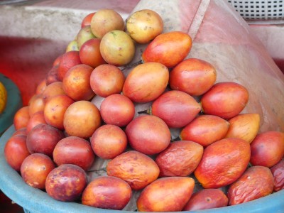 P1100201