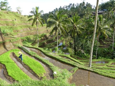 P1100252