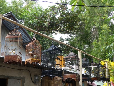 Gili Air