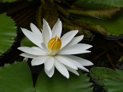 P1110580