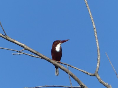 P1130282