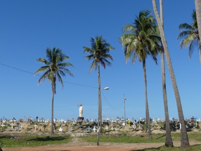 P1130303