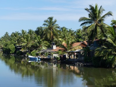 P1130310