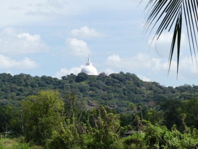 P1130335
