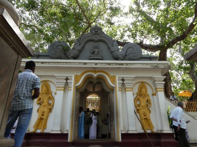 Sri Maha Bodhi