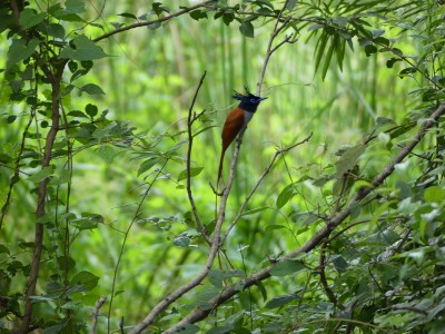 P1140105