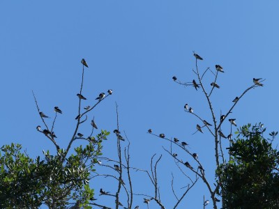 P1140603