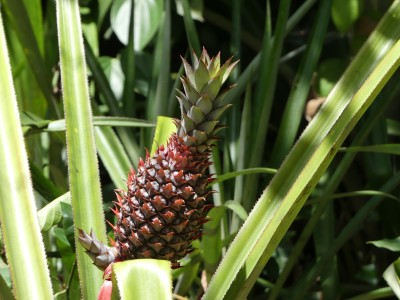 P1140948