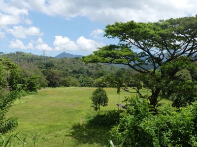 P1140951