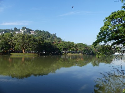 Kandy