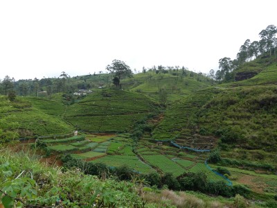 P1150258