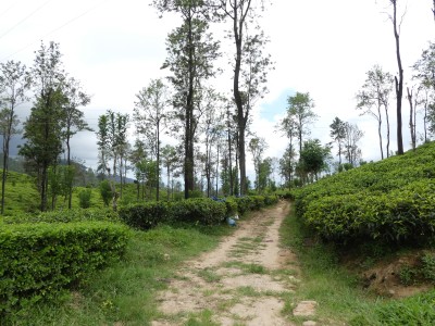 P1150483