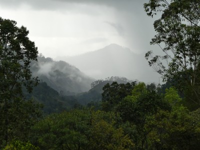 P1150528