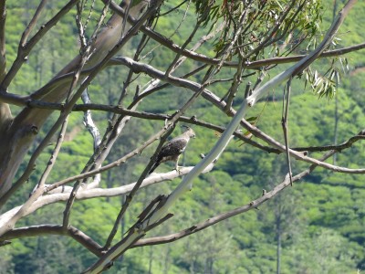 P1150651