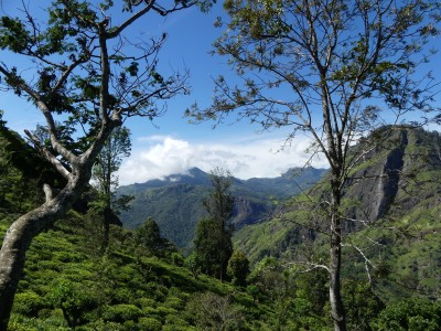 P1150663