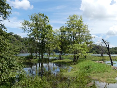 P1150683