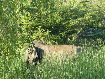 Parc de Yala