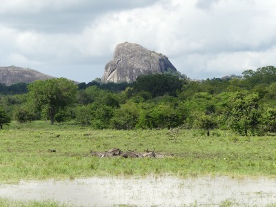 Parc de Yala