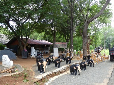 P1160488