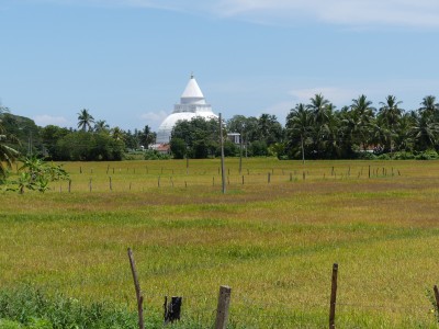 P1160497