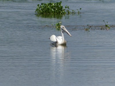 P1160503
