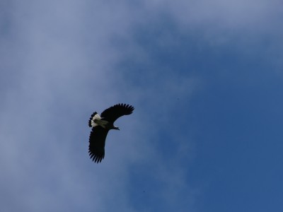 P1160619