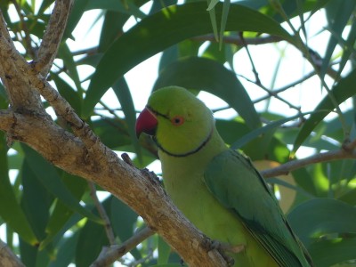 P1170229