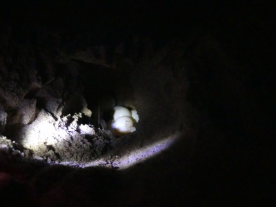 P1170356