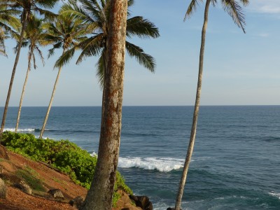Galle