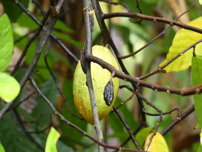 P1210204