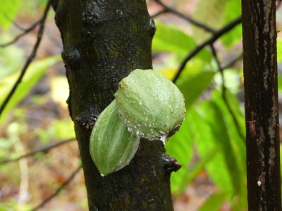 P1210205
