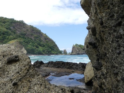 P1210453